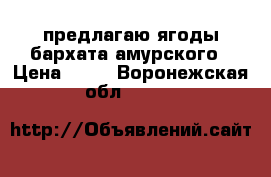  предлагаю ягоды бархата амурского › Цена ­ 50 - Воронежская обл.  »    
